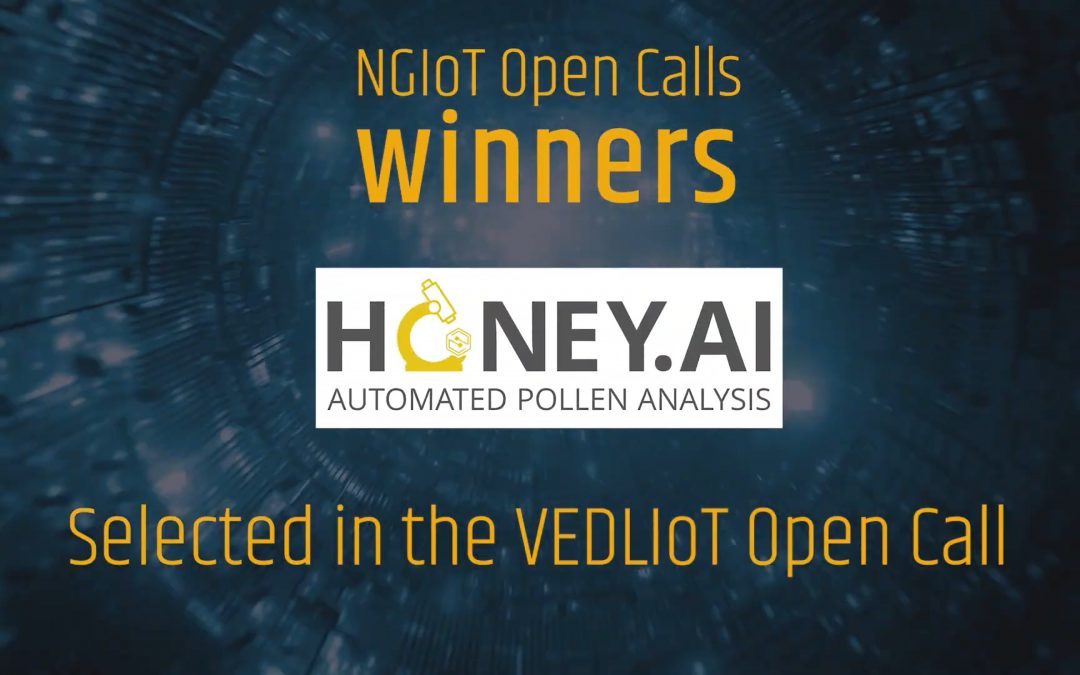 NGIoT Open Calls winners – Interview with Honey.AI